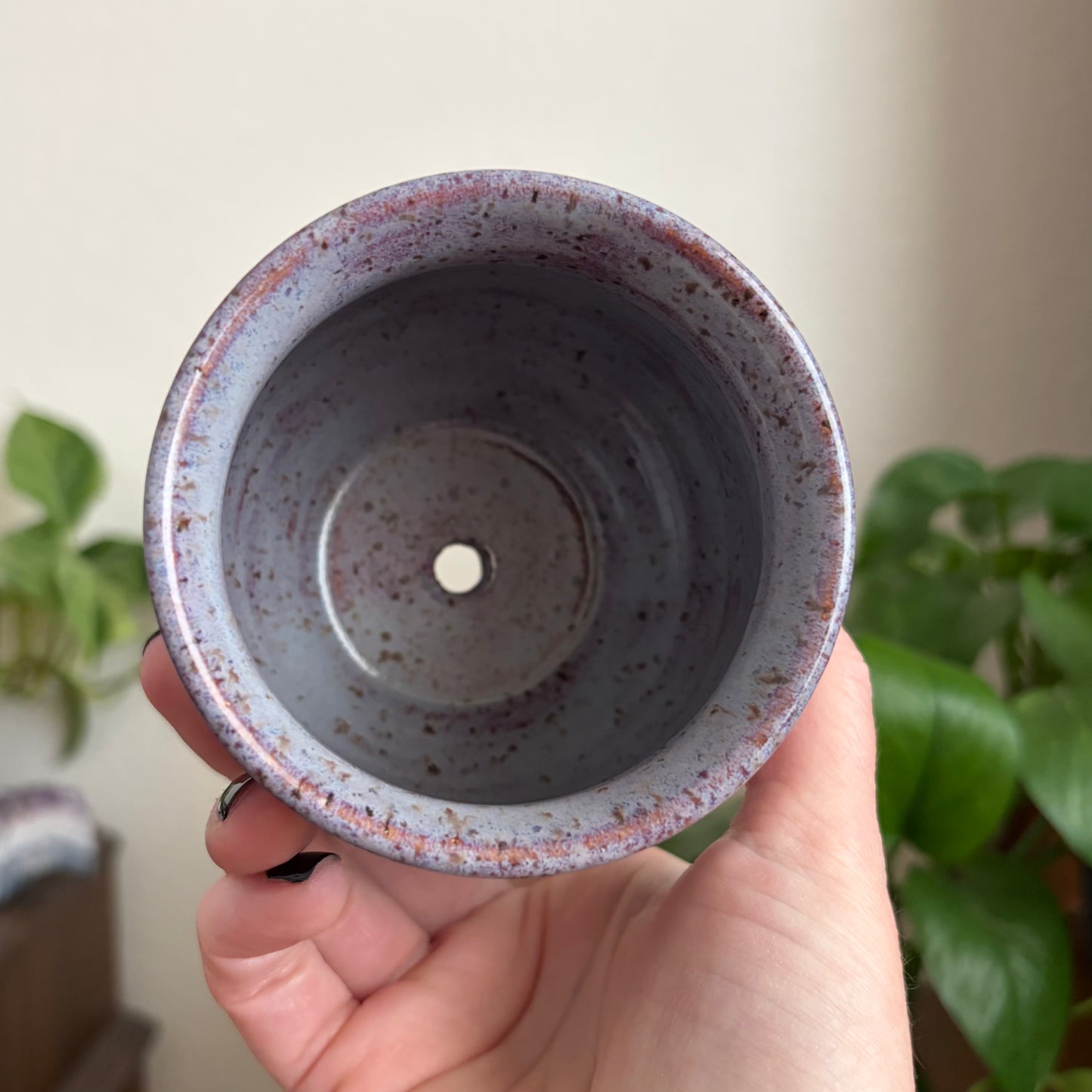 Bee Small Planter • Déjà Vu Glaze • Drainage