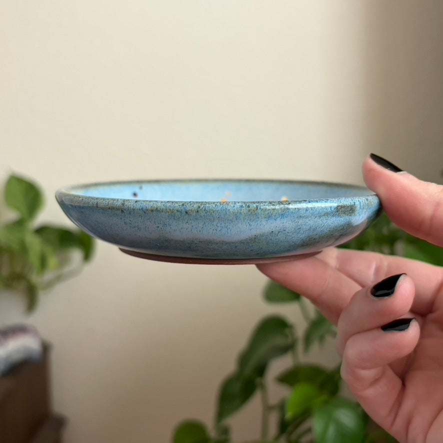 Bee Catchall • Blue Glaze